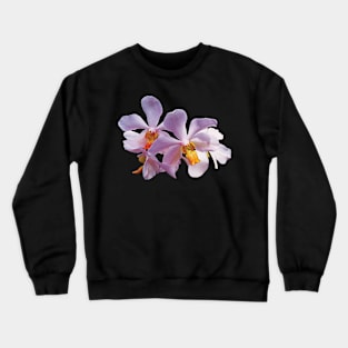 Orchids - Delicate Pink Orchids Crewneck Sweatshirt